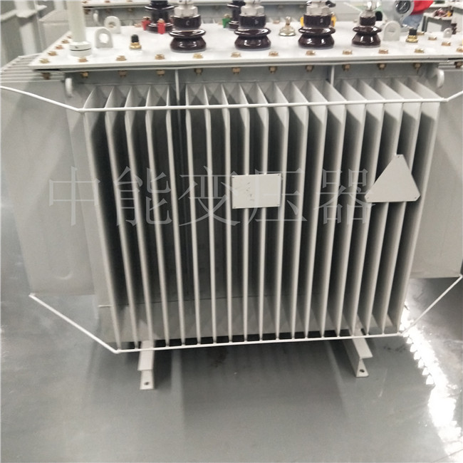 福建S20-800KVA变压器