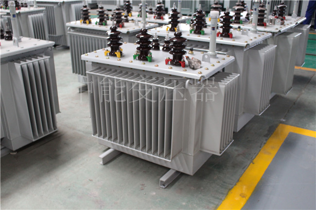 福建S22-250KVA/10KV变压器